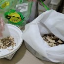 푸른나무한의원 이미지