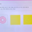 퍼스널컬러 KBP연구소