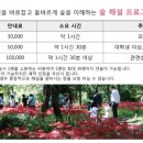 헤설