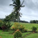 클루시브 이미지