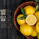 최씨고집 이미지