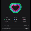 강남-035 | 빵순이의 10월 5주차 일기