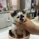 삼작로107번길 이미지