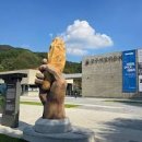 충남 여행지 공주 석장리 박물관 볼거리 이미지