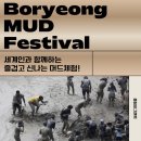 보령머드36 이미지