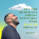 [고린도후서 9:7] 각각 그 마음에 정한 대로 할 것이요 인색함으로나 억지로 하지 말찌니 하나님은 즐겨 내는 자를 사랑하시느니라 이미지