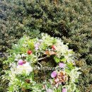 해피아이리스의원 이미지