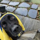 만세동물병원 이미지