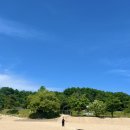 청솔태권도 | 바빴네 나