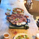 파인트리비 이미지