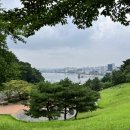 환호그린빌시장 네이버블로그