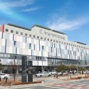 대전광역치매센터 | 2025 대전 치매정책 설문조사 결과 발표(대전광역치매센터)