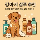 아인스동물병원 | 강아지 샴푸 추천 – 피부에 좋은 강아지 전용 샴푸 TOP 5