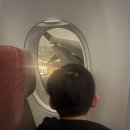 정류소수퍼 | 범계 공항리무진, 아시아나 기내식, Teega suites ♥ 말레이시아 조호바루 한달살기 1일차