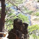 계곡사랑 이미지