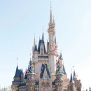 스타매직 주식회사 이미지