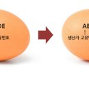 해든마당