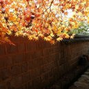 고란약수 이미지