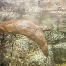 UR(오산시)-[성호대로]-상-12 | 2023. 2. 2주 차. 당일치기 경기도 오산 여행 1ㅣ버드 파크