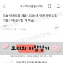 오늘 태권도장 처음 나갔는데 인권 유린 당한 기분이야 이미지