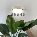 [인천/부평] 살롱 열애중