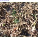 약초와산이야기 이미지