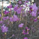 새서울한의원 이미지