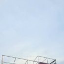 레드브리끄 이미지