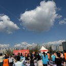 씨드요가 | 2025 시포레] 가을 시포레 다녀온 후기(심으뜸, 권진아, 서동현, 자이언티, 에이와요가, 베가베리 러닝 등)