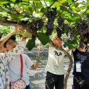 과일나라테마공원3 이미지