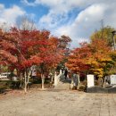 상징조형물(황지연못 | 강원도 단풍 명소 태백 황지연못