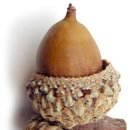 음악&#39; 가족&#39;들이라면~ 이정도능 기본...(음악장르 142&#39;종류에 대하여...) 이미지