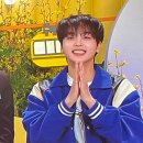 보조개강쥐 Daum카페