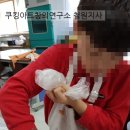철원스낵 이미지