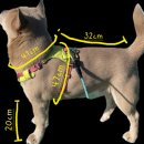 유니동물병원 | [반려견 동반] 현대백화점 판교점 반려견 출입규정 주말 무료주차ㅣ 펫페어 펫플래닛ㅣ강아지유모차...