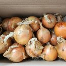 광평농장 이미지