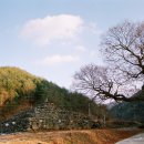 석탑사 - 안동시 북후면 | 석탑사
