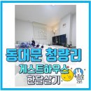 K 하이스텔 | 동대문 청량리 신규오픈 게스트하우스 한달살기