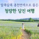 바우토피아 이미지