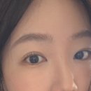센터라인브로우바