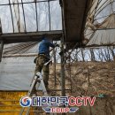 기종농장 이미지