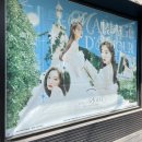 가자일영투어 | 약속해 우린 다시 만날 거라고