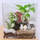 꿈드림원예힐링센터 | [서울/강남] 이색 원데이클래스 추천! 테라리움 만들기, 논현동 원예치료센터 '시크릿힐링원예' 후기!