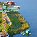 유명숙농장 이미지