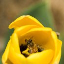 꽃의계절 이미지