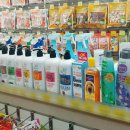 도그버디 이미지