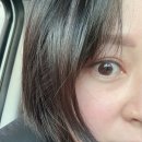 대주피오레정문 | 천안 신방동 속눈썹펌 실력최고인 한눈에반함