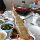 낙도네수산