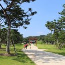 상침 송씨 묘역 | 세종의 가계도, 소헌왕후 및 후궁 소생 18남 7녀의 행적