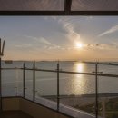 브라운도트 이미지